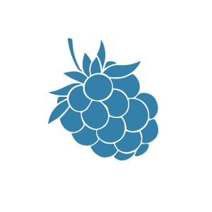 Rotating 4GVN flavor icons: raspberry, cherries, passion fruit, apple